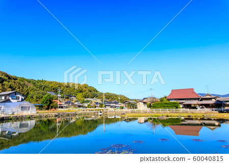 Autumn view of Seinoike [Shiraishi-cho, Kashiwajima-gun, Saga] 60040815