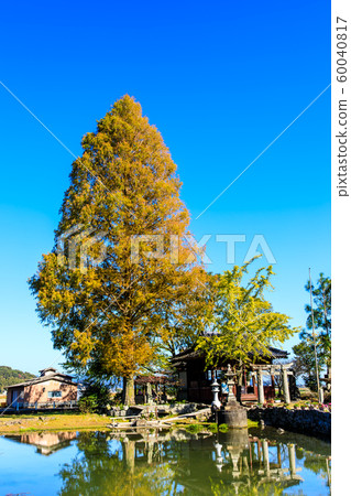 Autumn view of Seinoike [Shiraishi-cho, Kashiwajima-gun, Saga] 60040817