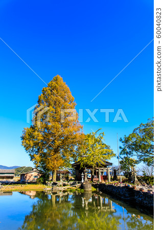 Seinoike的秋天景色[佐賀縣柏島郡白石町] 60040823