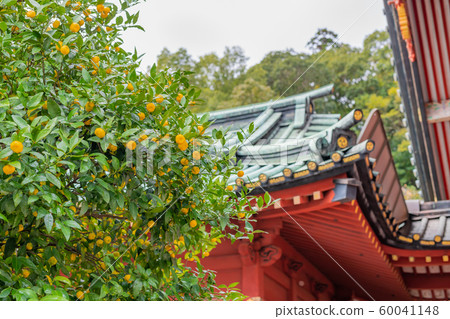 靜岡淺間神社大樓 60041148
