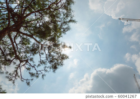 Cloud background, beautiful blue sky with white clouds 043 Cloud background, beautiful blue sky with white clouds 043 60041267