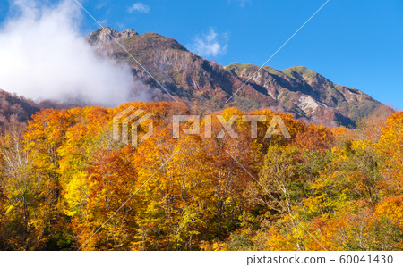 Ameyama秋葉 60041430