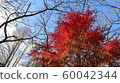 Satoyama的瀑布 60042344
