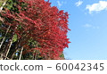 Satoyama的瀑布 60042345