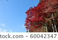 Satoyama的瀑布 60042347