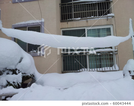 There's snow washing 60043444