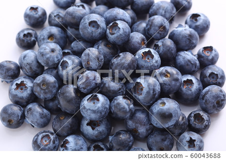 blueberry blueberry 60043688