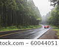 Korea, jeju island, road, trees, car, landscape 60044051