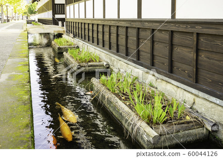 津和野市町街 60044126