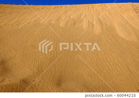 Tottori Four Seasons Fall Autumn Tottori Sand Dunes 60044218