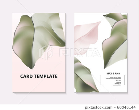 Modern greenery contrast foliage monstera leaf summer wedding card. Hand-drawn botany business 60046144
