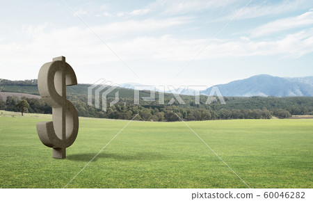 Money making and wealth concept presented by stone dollar symbol on green grass Money making and wealth concept presented by stone dollar symbol on green grass 60046282