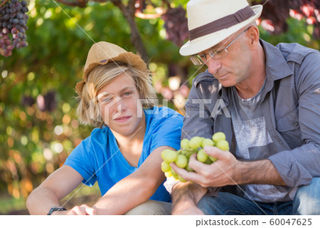 Winemakers father and son in vineyard Winemakers father and son in vineyard 60047625