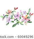 Alstroemeria and orchids bouquet botanical flowers. Watercolor background set. Isolated bouquets 60049296