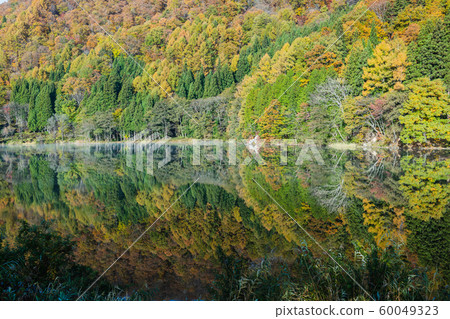 秋天的中津湖照片 秋天的中津湖照片 60049323