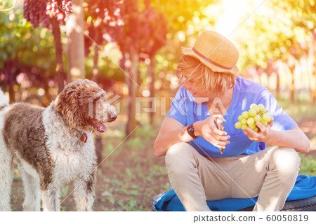 Smiling boy with dog in vineyard at sunny day 60050819