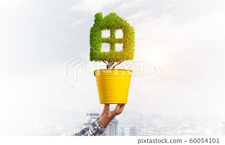 Green plant in shape of house grows in pot 60054101