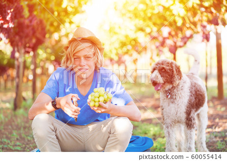 Smiling boy with dog in vineyard at sunny day Smiling boy with dog in vineyard at sunny day 60055414