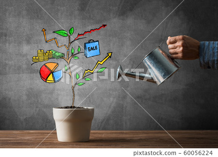 Drawn income tree in white pot for business investment savings and making money Drawn income tree in white pot for business investment savings and making money 60056224