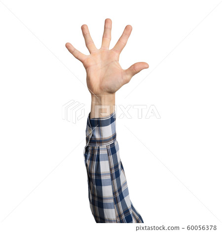 Man hand in blue checkered shirt showing palm Man hand in blue checkered shirt showing palm 60056378