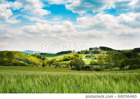 Day natural view at German pastures and cornfields Day natural view at German pastures and cornfields 60056460
