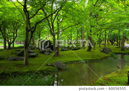 Summer garden of summer 60056505