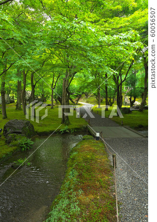 Summer garden of summer 60056507