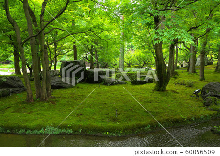 Summer garden of summer 60056509