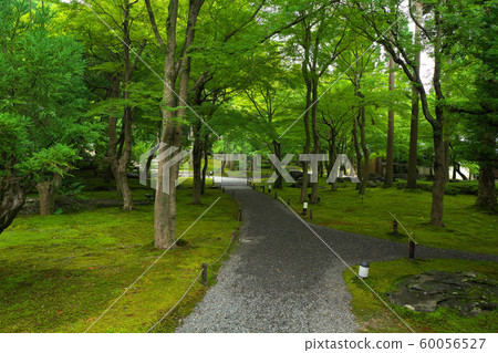 Summer garden of summer 60056527