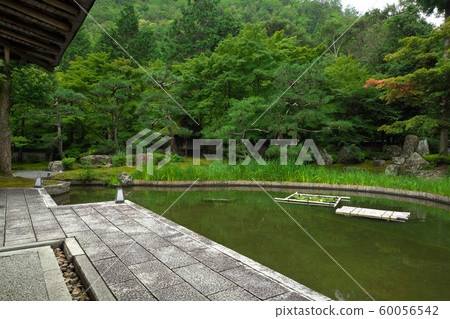 Summer garden of summer 60056542