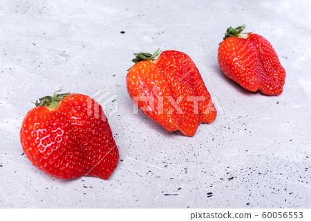 Three ugly imperfect ripe strawberries are lying diagonally on grey concrete background. Waste zero concept. Side view. Three ugly imperfect ripe strawberries are lying diagonally on grey concrete background. Waste zero concept. Side view. 60056553