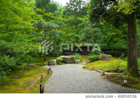 Summer garden of summer Summer garden of summer 60056556