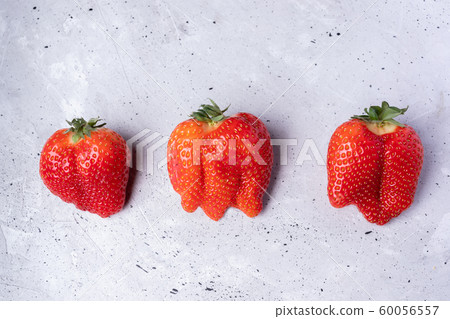 Three ugly imperfect ripe strawberries on grey concrete background. Waste zero concept. Top view, flat lay. Three ugly imperfect ripe strawberries on grey concrete background. Waste zero concept. Top view, flat lay. 60056557