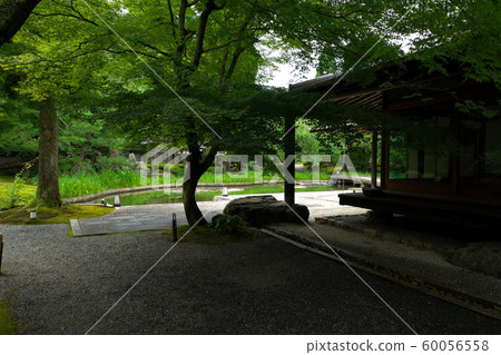 Summer garden of summer 60056558