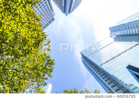 辦公區域的風景與綠色的 辦公區域的風景與綠色的 60056785