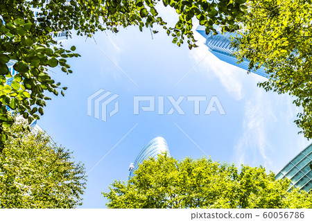 辦公區域的風景與綠色的 辦公區域的風景與綠色的 60056786