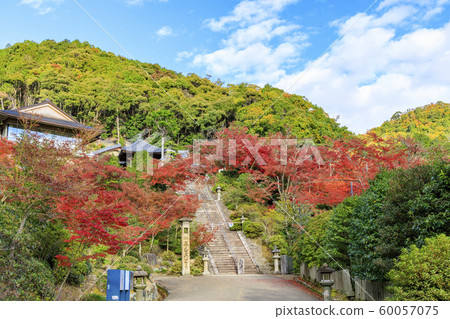 Sanmuro Toji秋葉 60057075