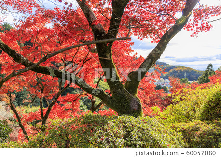 Sanmuro Toji秋葉 Sanmuro Toji秋葉 60057080