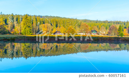 Trees reflected in the pond. Kladska peat bog National Reserve near Marianske Lazne, Czech Republic Trees reflected in the pond. Kladska peat bog National Reserve near Marianske Lazne, Czech Republic 60057161