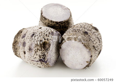 田邊陶牧 60057249