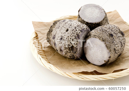 田邊陶牧 60057250