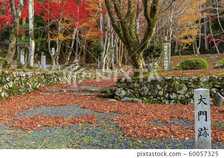 Chicken foot temple Autumn leaves Chicken foot temple Autumn leaves 60057325
