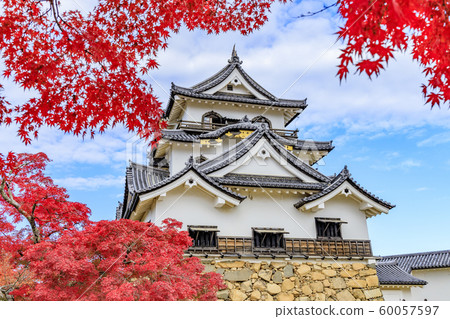 彥根城秋天的落葉 60057597