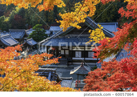 Kanoyaji Kanyanagi Kannon Autumn leaves 60057864