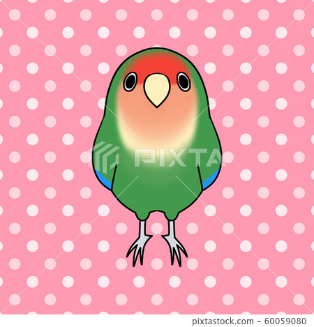 Front view of Kozaku Kleinko "Red Green Color" (cute, illustration, pet) Front view of Kozaku Kleinko "Red Green Color" (cute, illustration, pet) 60059080