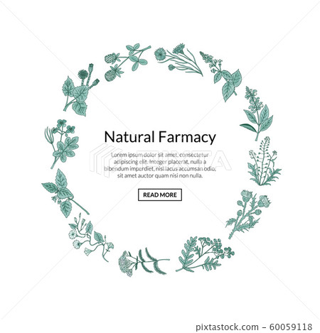 Vector hand drawn medical herbs 60059118