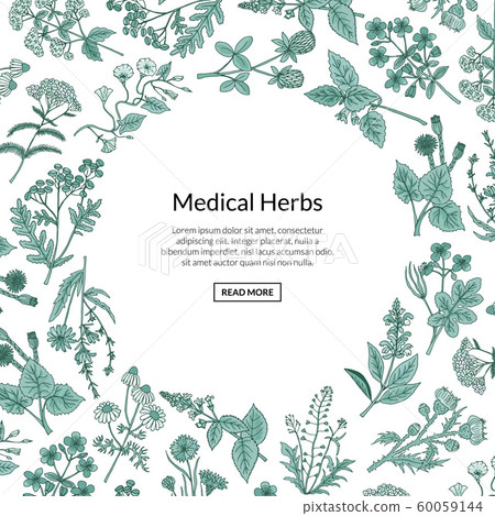 Vector hand drawn medical herbs background with... - Stock Illustration ...