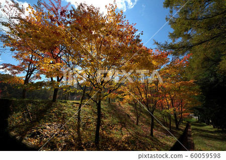 秋天的泉湖公園 秋天的泉湖公園 60059598