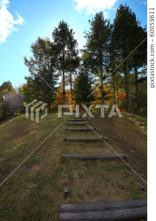 秋天的泉湖公園 秋天的泉湖公園 60059611