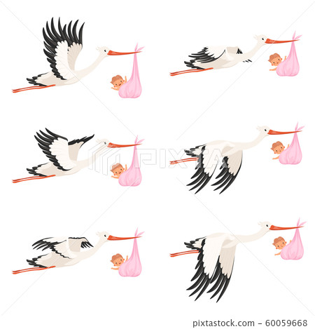Flying stork frame animation. Bird delivery newborn baby carry vector cartoon characters isolated Flying stork frame animation. Bird delivery newborn baby carry vector cartoon characters isolated 60059668